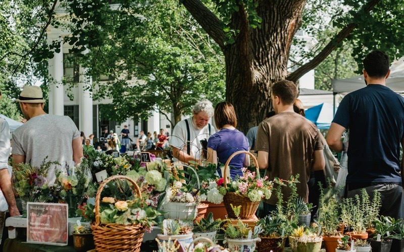 Sfeerbeeld (Unsplash): mensen tussen planten op een tuinmarkt